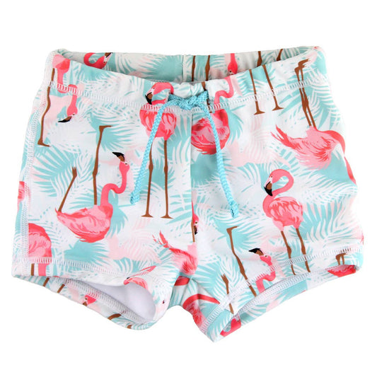 Boys' Vibrant Flamingo Swim Shorties